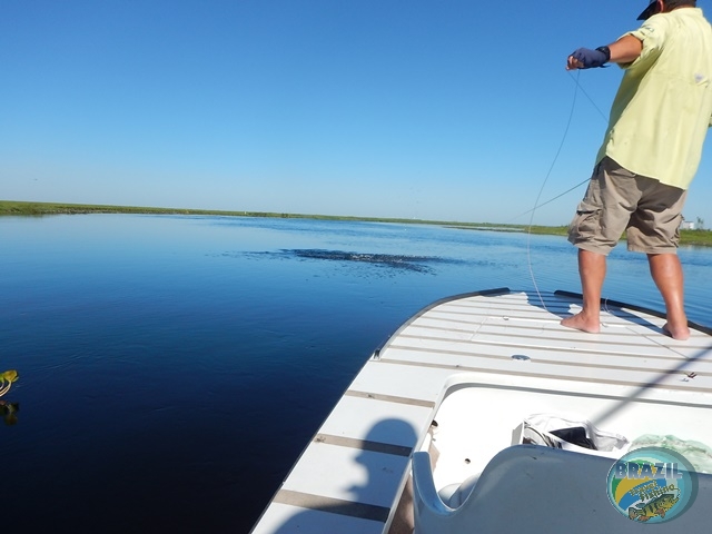 PIRA LODGE - Pantanal Argentino - Temporada 2.016